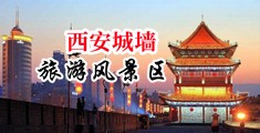 啊啊啊好爽快插进去要射了在线观看中国陕西-西安城墙旅游风景区