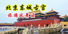 哦插爽射动态图中国北京-东城古宫旅游风景区